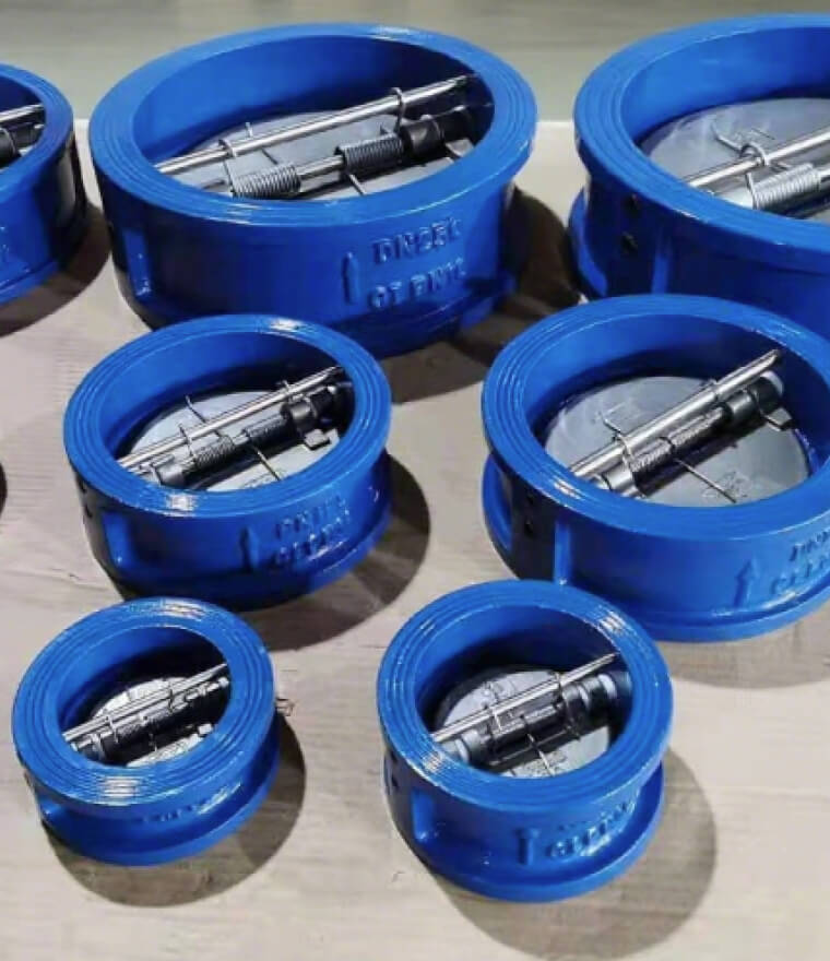 Check Valve